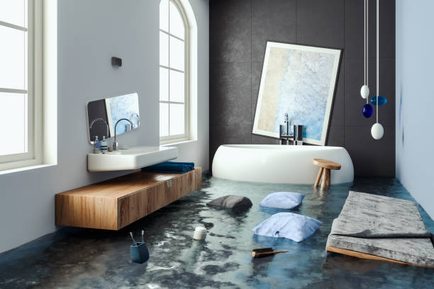 Best Professional water damage repair  in Koloa, HI