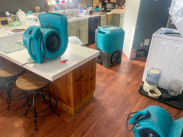 Best Water damage restoration near me  in Koloa, HI