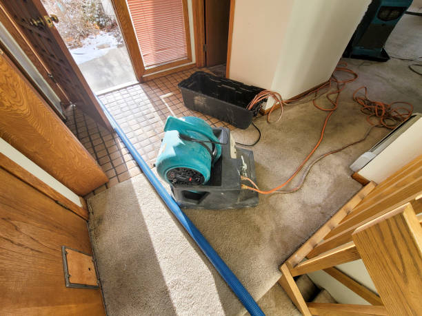 Best Water damage restoration insurance claims  in Koloa, HI