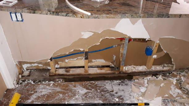 Best Residential water damage restoration  in Koloa, HI