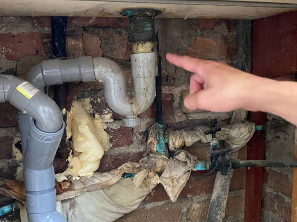 Best Mold removal after water damage  in Koloa, HI