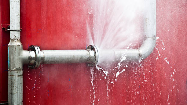 Best Water damage restoration experts  in Koloa, HI